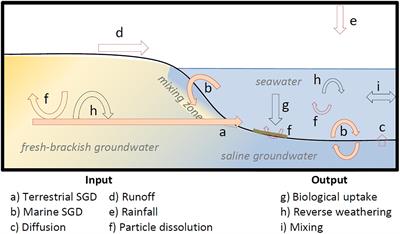 DSi as a Tracer for Submarine Groundwater Discharge